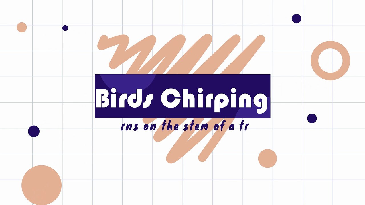 Birds Chripping