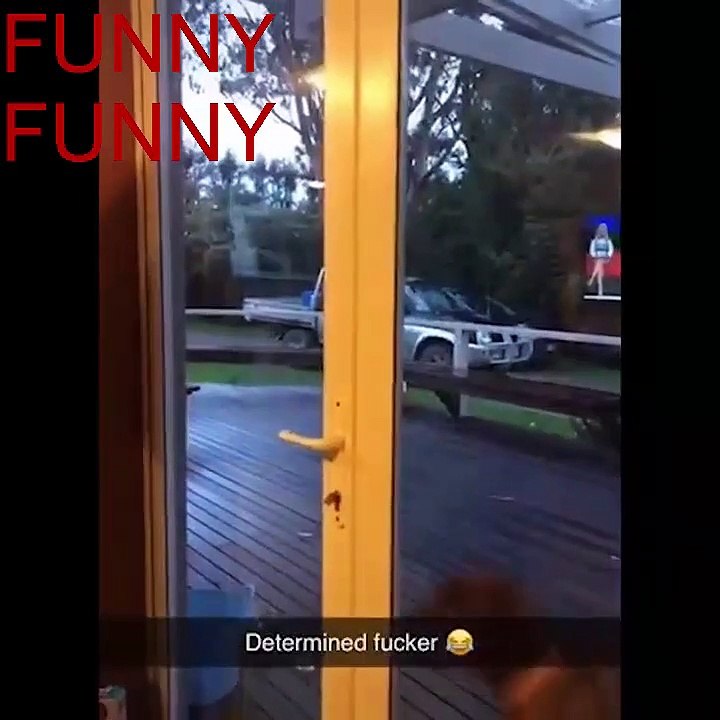 FUNNY#2