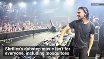 Playing Skrillex Could Protect You Against Mosquito Bites