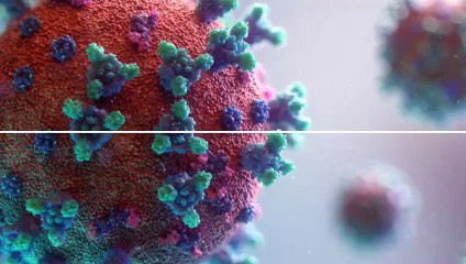 Book Hygiene Maintained Serviced Apartment in London | Presidential Marylebone Mayfair