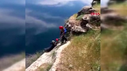 ADIYAMAN Kayalıklarda mahsur kalan keçiye halatlı kurtarma