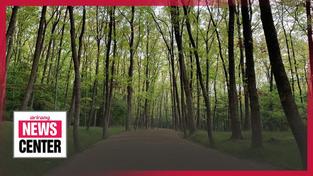 Nine walking paths at Royal Tombs to be open for visitors