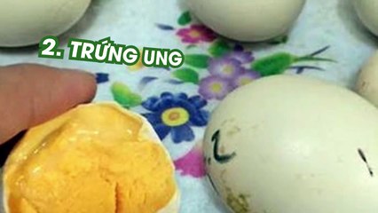 [Tin video,YAN Food] 49738