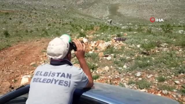 Mantar toplamak için gittiği dağda cansız bedeni bulundu