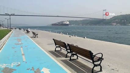 Emirgan Sahiline Martı Akını