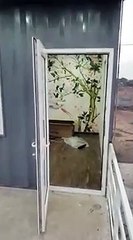 Stunning Container homes in Indore with Complete Interior