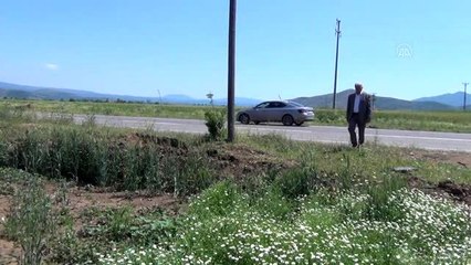 Hububat alım fiyatı Gaziantep çiftçisinin yüzünü güldürdü