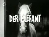 Mr. Ed - 037. Der Elefant