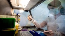 Boğaziçi Üniversitesi, koronavirüs aşısı için Eylül 2021'i işaret etti
