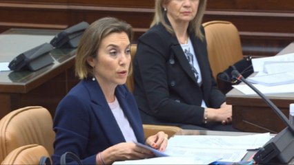 PP solicita que el Defensor del Pueblo investigue la gestión del Gobierno