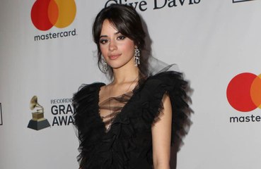 Camila Cabello teases 'fun little project'