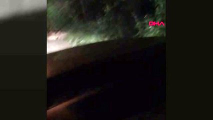 ZONGULDAK Yavru domuzlar mahalleye indi