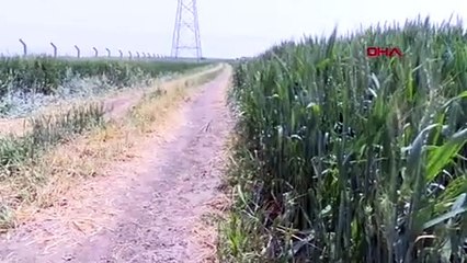 Tekirdağ'a girmek isteyen yazlıkçılar jandarmaya yakalandı