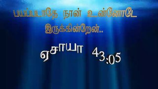Bible verse Isaiah 43,5 in Tamil  Animation | free download |please follow Tamil Jesus media