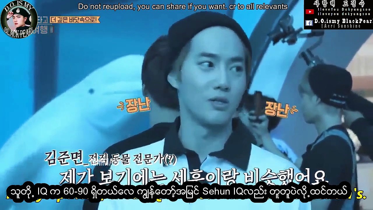 EXO WE ARE ONE! EXO have same brain-MM SUB