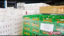 Mercadona entrega 26.500 kilos de productos al Banco de Alimentos de Sevilla en lo que va de año