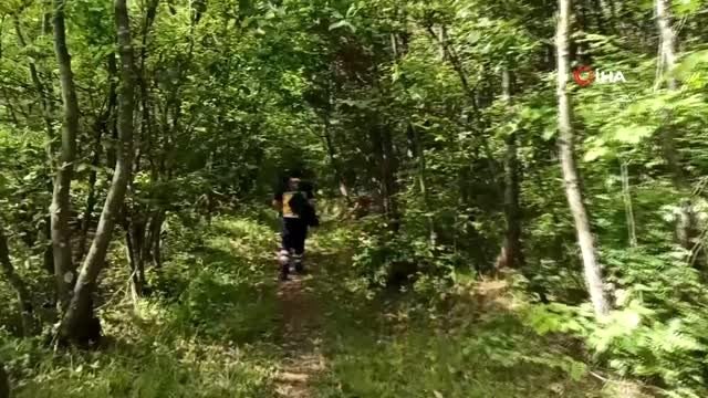 Köylüler ormanda çıkan yangına müdahale ederken dumandan etkilendi