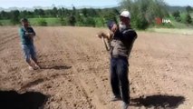 Çiftçi, eliyle yakaladığı 1.5 metre uzunluğundaki yılanla böyle oynadı