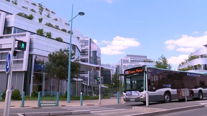 Disputas en búsqueda de vacuna contra la covid-19