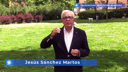 Qué hacer con nuestros perros