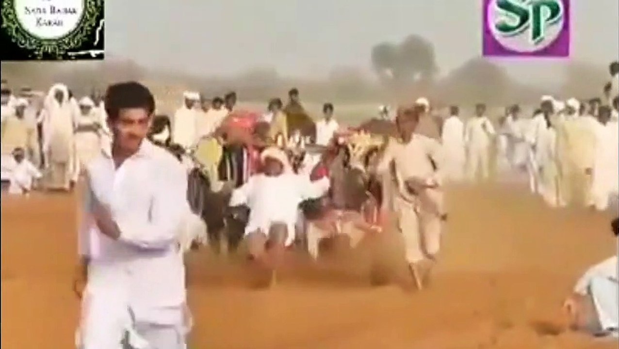 Chakwal Bull  Race 4