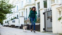 This Job Pays $67K to Live in a Private London Apartment and Watch Two Dogs