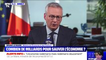 Bruno Le Maire: 