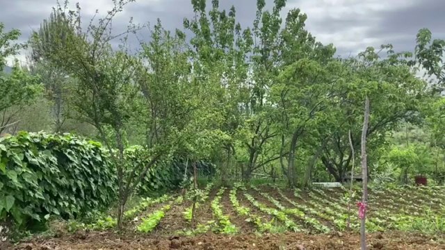 Lidhën një nga anëtarët e familjes/ Pamje nga shtëpia ku ndodhi grabitja në Zall-Herr