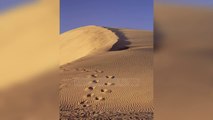 Top News - Mrekullia! Pas gjysmë shekulli, dunat spanjolle nuk kanë asnjë gjurmë këmbësh!