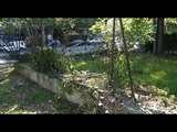 Ora News - Dhunimi i monumentit të shenjtë nga Veliaj revolton qytetarët e Tiranës