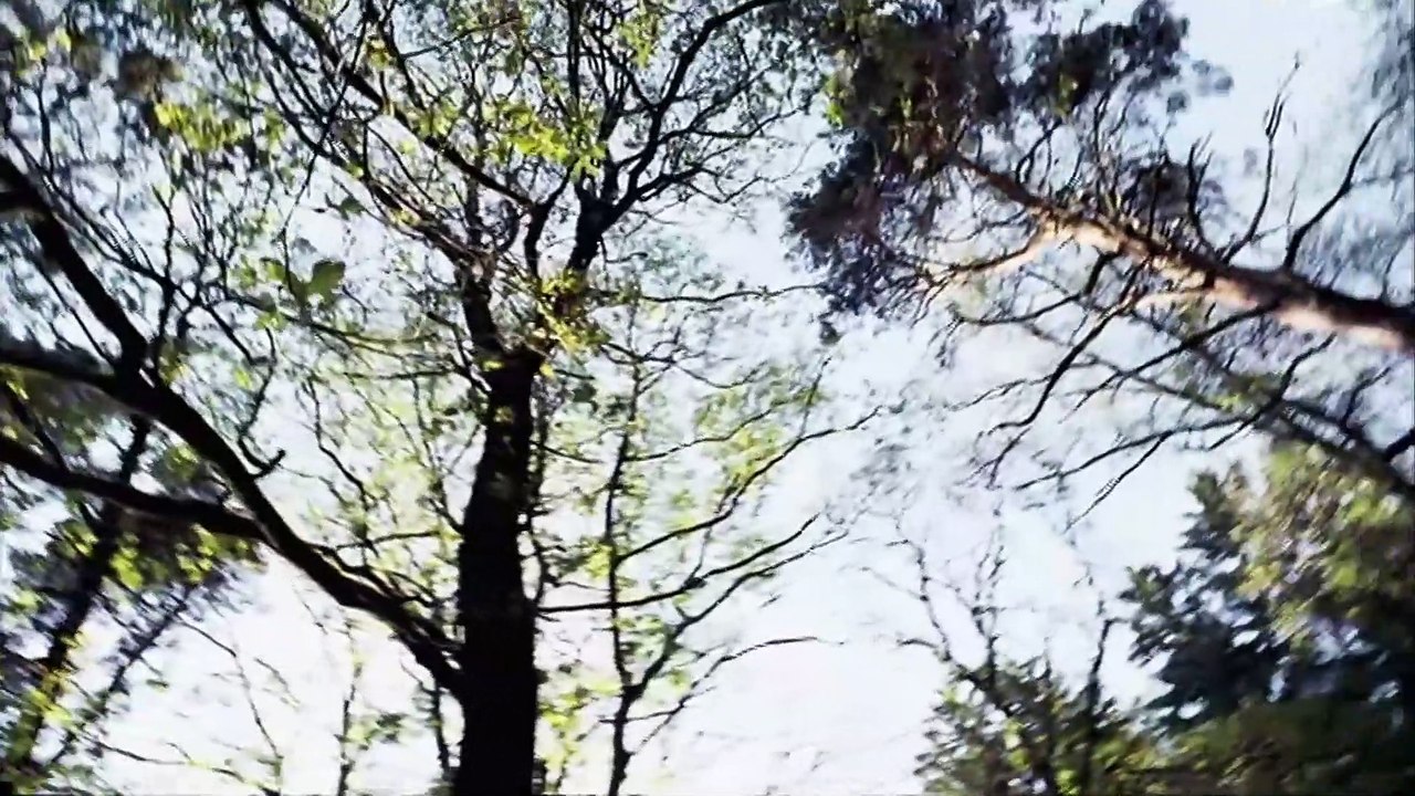 Ausschnitt: 'Der Letzte Zug'