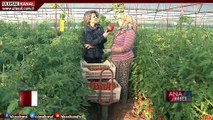 Ana Haber - 14 Mayıs 2020 - Teoman Alili- Ulusal Kanal
