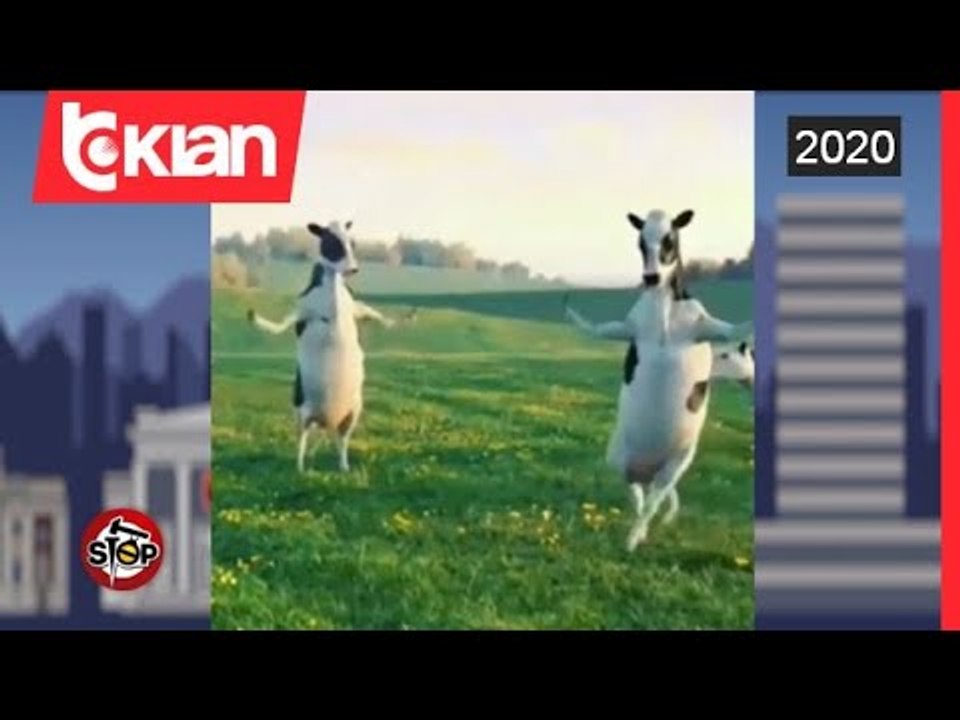 Stop - Memet e karantines! (01 maj 2020)