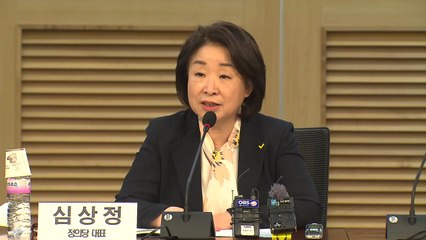 "정의당, 거대한 소수당은 착각...진보 가치 복원해야" / YTN