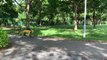 Meet the robot dog promoting safe distancing in Singapore's parks during the COVID-19