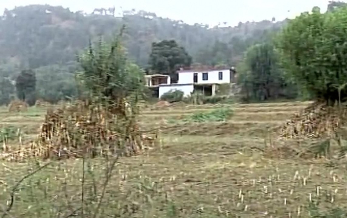 Jammu and Kashmir: Pakistan violates ceasefire at Naushera sector, no causalities