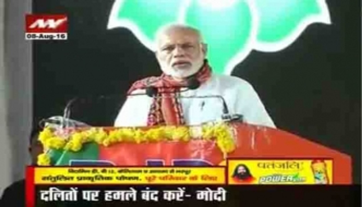 Headlines of the hour: PM Modi advocates severe punishment for fake cow protectors