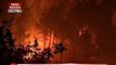 Raging Uttarakhand forest fires likely to have a devastating impact on glaciers