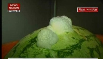 Pesticides Found in Watermelon