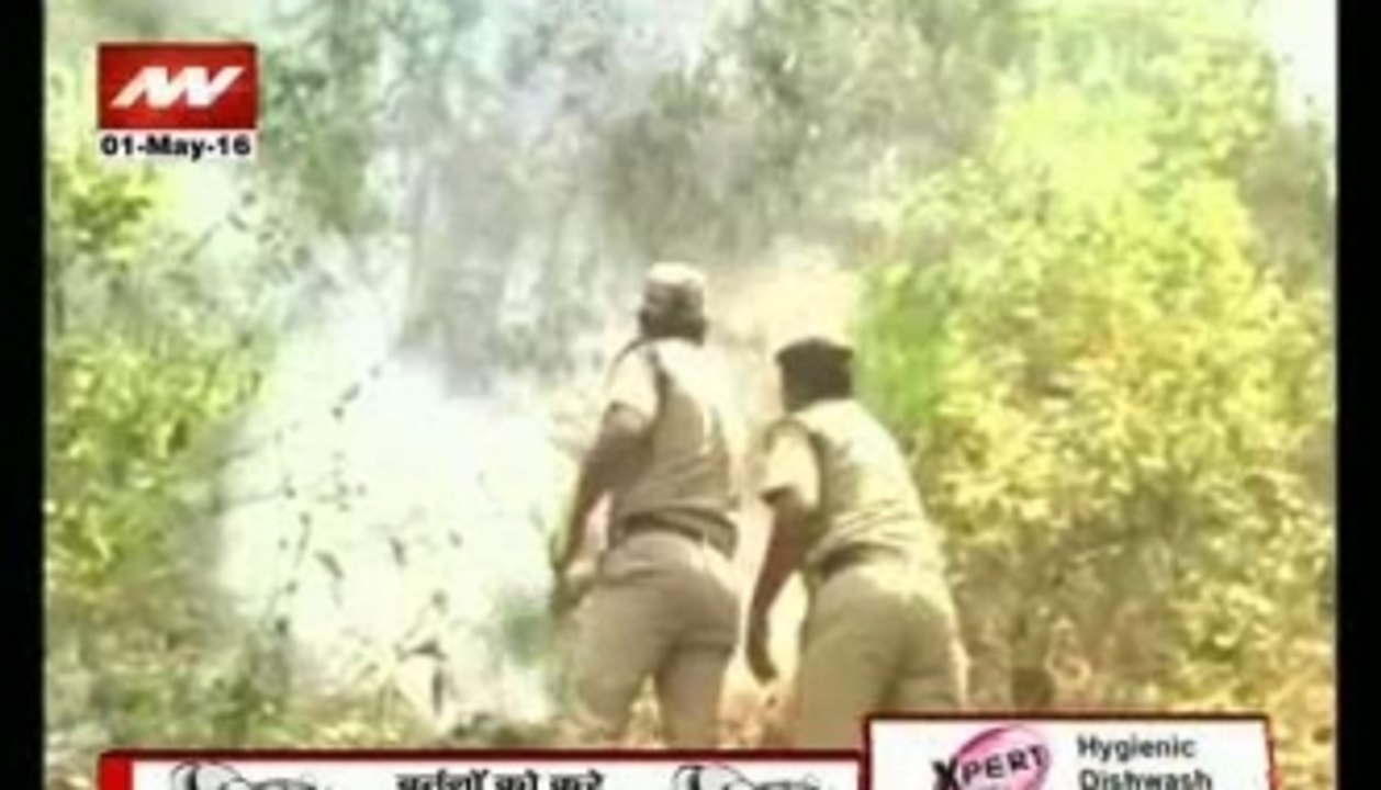Uttarakhand forest fire: over 130 NDRF men deployed to combat crisis