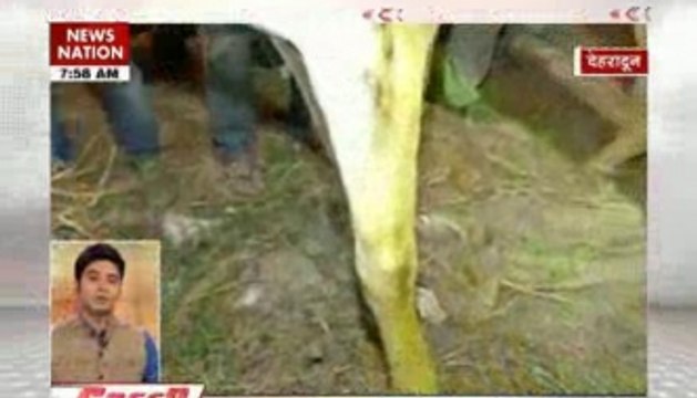 BJP MLA Ganesh Joshi, accused of thrashing horse ‘Shaktiman’, arrested