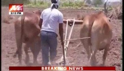 Exclusive on black money : 'Kharabpati farmers' take agriculture route to evade tax