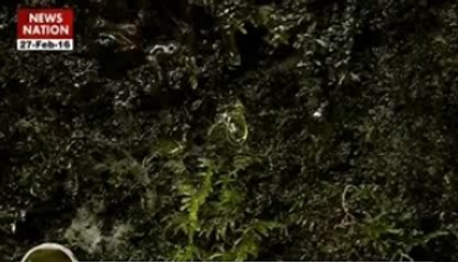 Rahasya: The miracles of nature