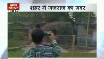 Elephant enters Siliguri, smashes cars and houses