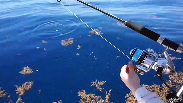 Sevdam Alabora 12. Bölüm Özel Kısa Bölümler