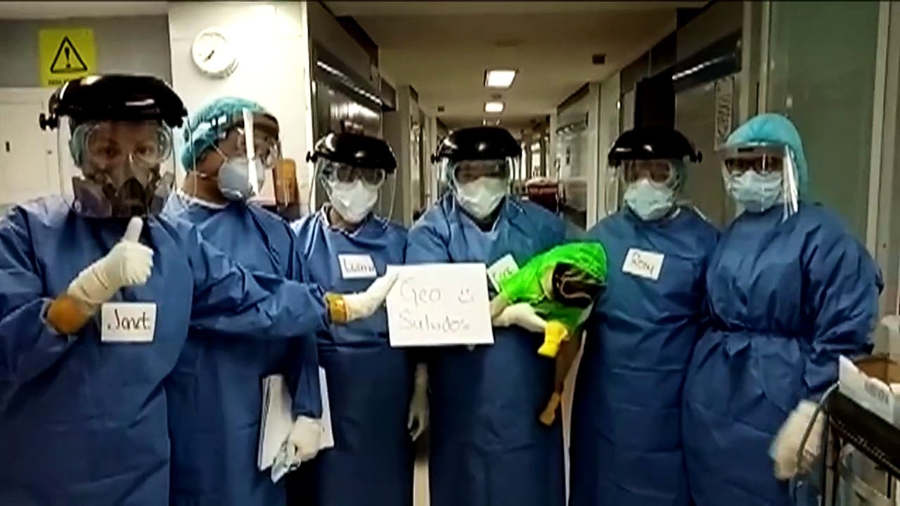 Mexiko: Therapiehund Harley sorgt für Stressminderung