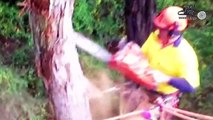 World Dangerous Large Tree Topping and Felling By Arborists - Hazard Tree Cutting Down