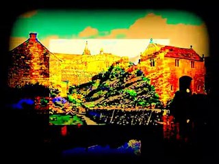 in the mirror, pandemic reflections by BOA