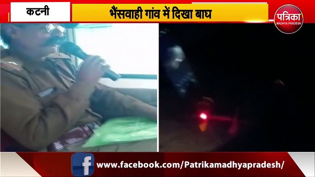KATNI : सुनो..सुनो गांव में बाघ है | TIGER IN THE JUNGLE