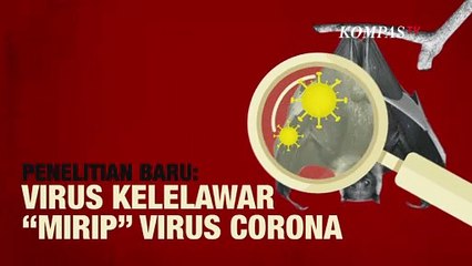 Studi Baru: Peneliti Temukan Genome Mirip Virus Corona pada Kelelawar
